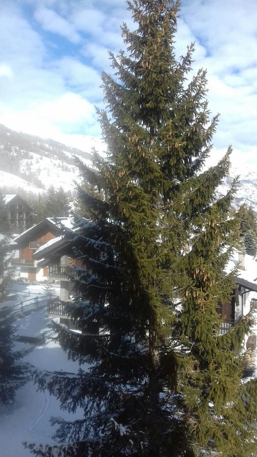 Appartamento Ca del nono Pragelato Esterno foto